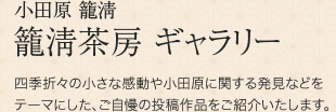 小田原 籠淸 籠淸茶房 ギャラリー