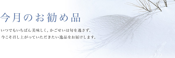今月のお勧め品