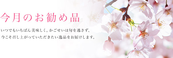 今月のお勧め品